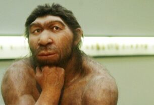 Denisova: The First Human Species Discovered Through Genetic Analysis