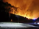 Portugal At least seven dead in fires that continue to engulf the country