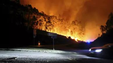 Portugal At least seven dead in fires that continue to engulf the country