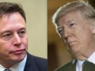 Trump Dismisses Elon Musk's Political Ambitions He's Not Going to Be President